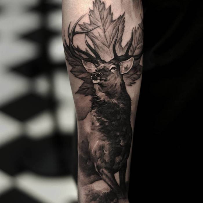 Realistic Deer Tattoo by oscarakermo