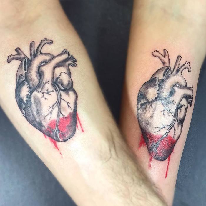 Matching Anatomical Hearts by Aleksandra Stojanoska