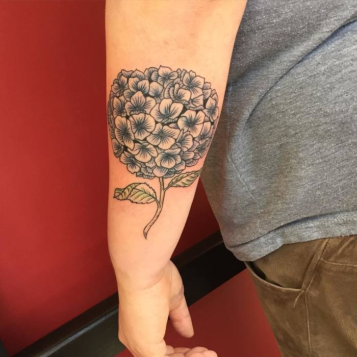 Hydrangea Tattoo by Erica Kraner