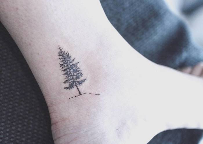 Small Tree Tattoo on Ankle by baam.kr