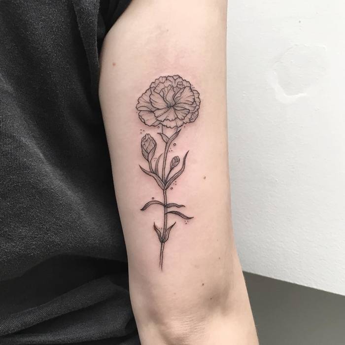Carnation Tattoo by peta.heffernan
