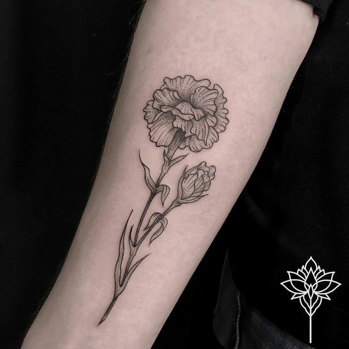 Dotwork Carnations by Miriam Andrea