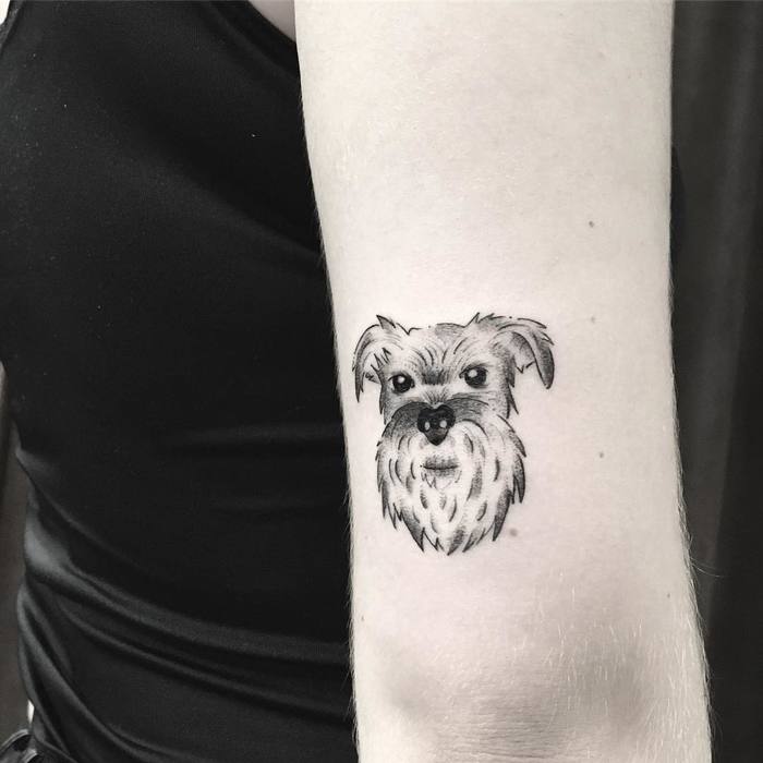 Schnauzer Dog Tattoo by pinkbecker