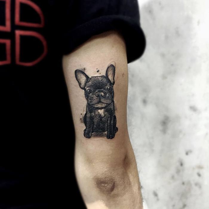 French Bulldog Tattoo by Felipe Mello