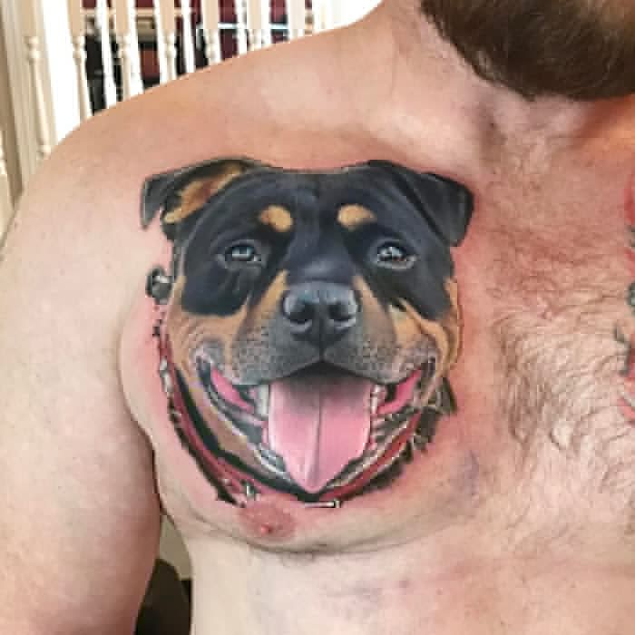 Realistic Rottweiler Tattoo by David Corden