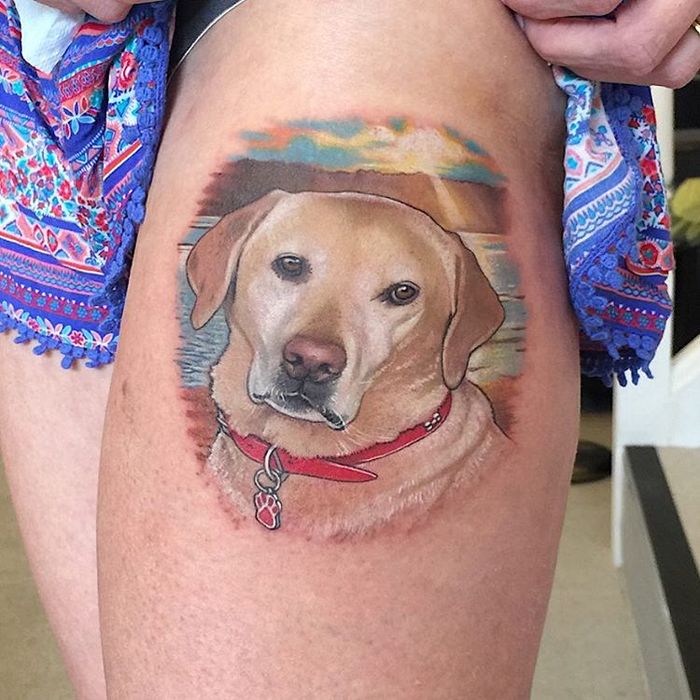 Labrador Tattoo by David Corden