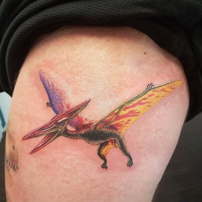 Colored Pterodactyl Tattoo by s_lcf.tattoos