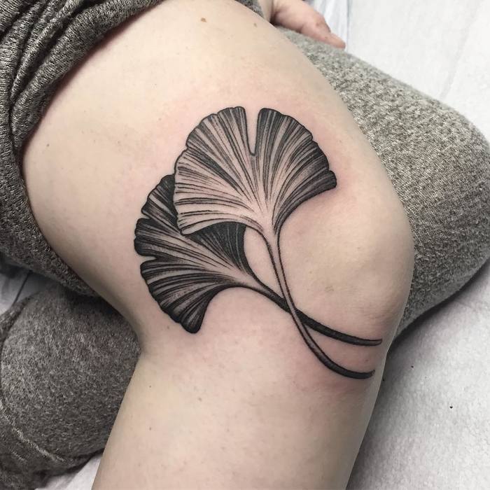 Two Ginkgo Leaves on Knee by terrygrow