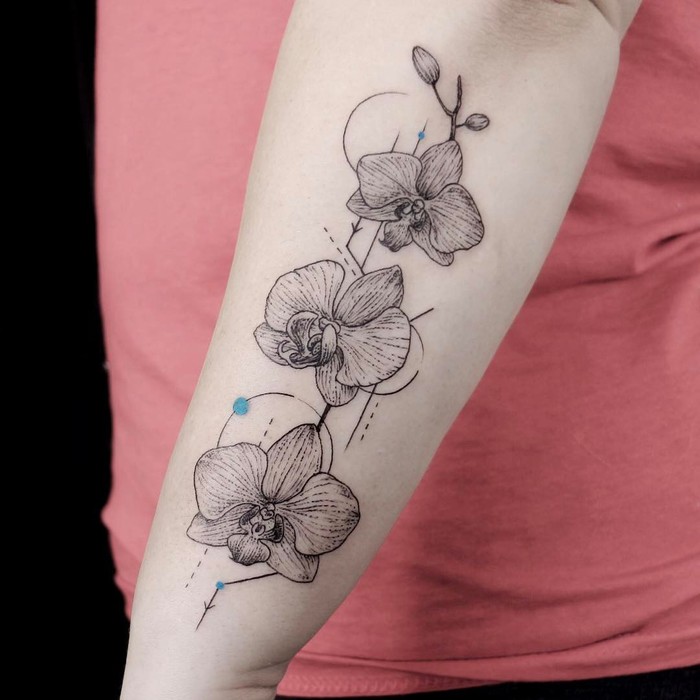 Linework Orchids by emrahozhan