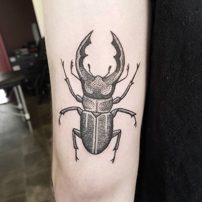 Dotwork Stag Beetle Tattoo by demi_tattoo