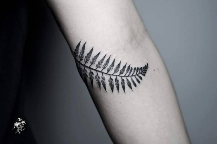 Fern Tattoo by biankaszlachta