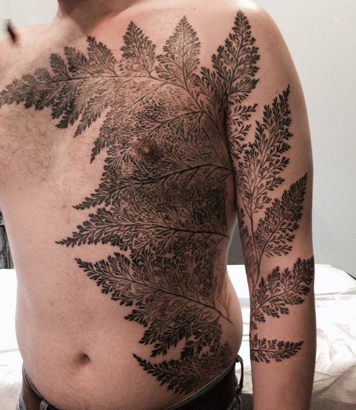 Fern Tattoo by butterstinker