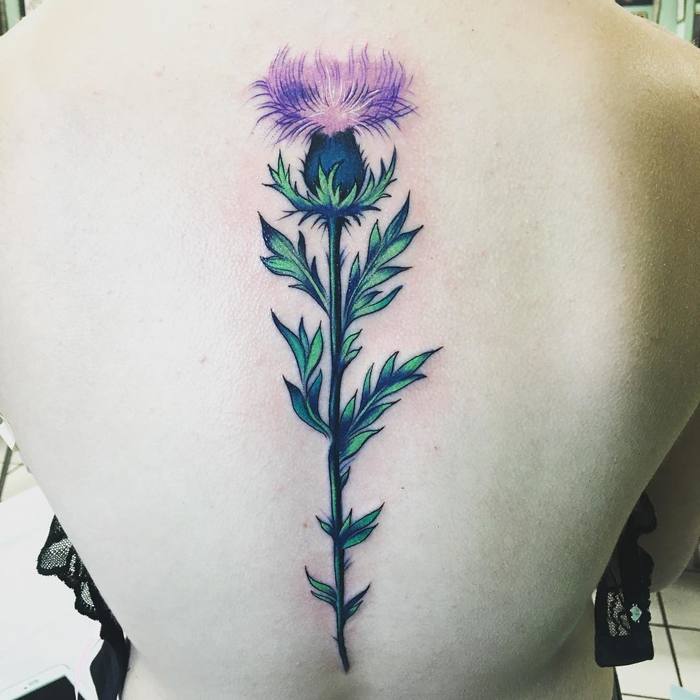 Gorgeous Thistle on Spine by morganhabe