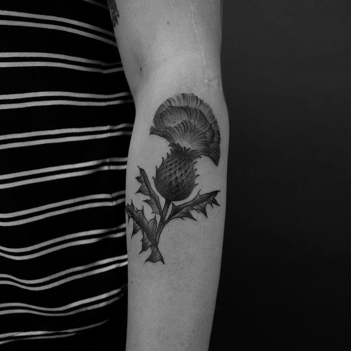 Black and Grey Thistle Tattoo by xlxvxr