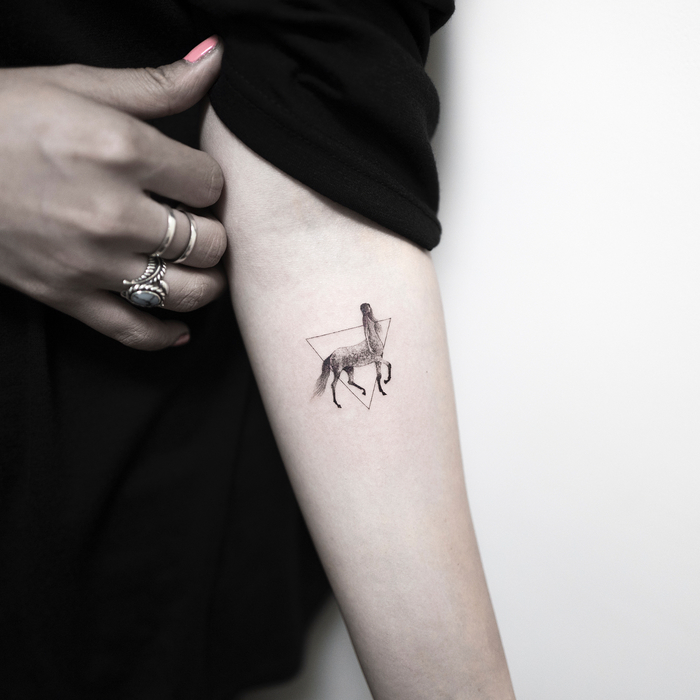  Little Centaurus Tattoo and Triangle by ilwolhongdam