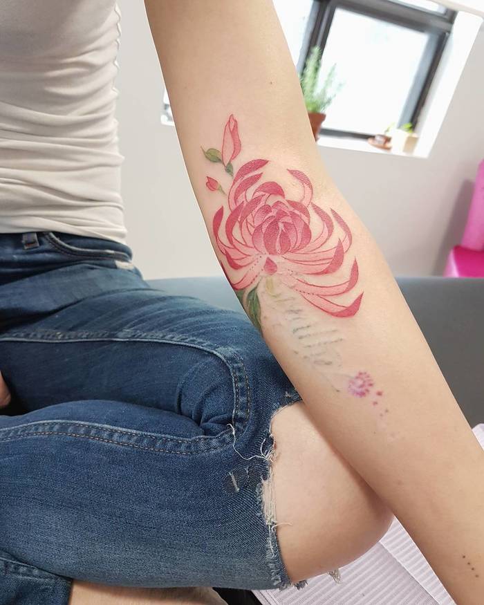 Pink Chrysanthemum Tattoo on Arm by miiss.lee