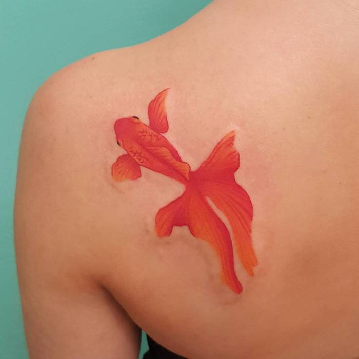 Goldfish Tattoo by anittatattoo