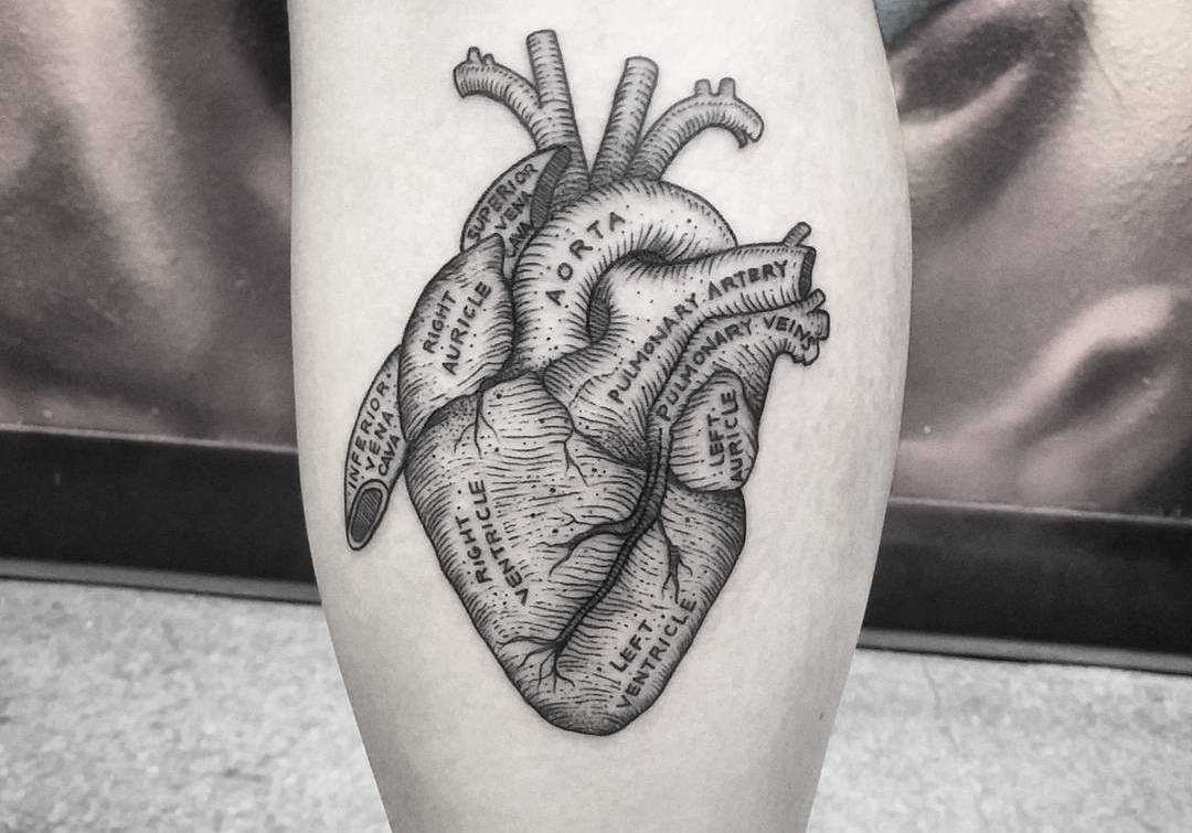 39 Inspiring Anatomical Heart Tattoos