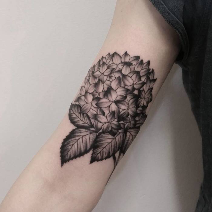 Floral Tattoo I drew for another Redditor featuring Hydrangea Hydrangea  macrophylla a poppy Papaver somniferum and a common lavender Lavandula  officinalis  rflowers