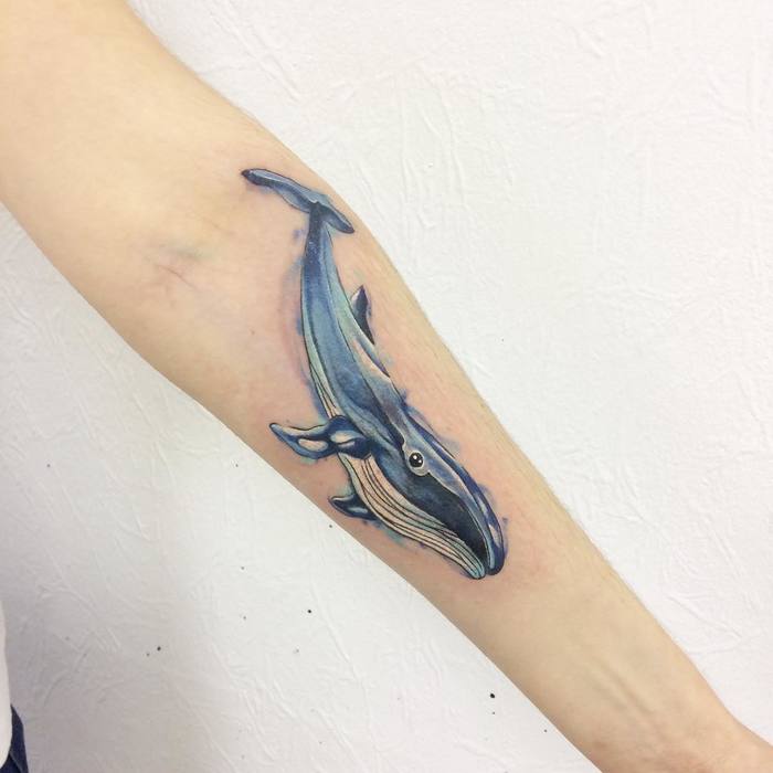 Lovely Blue Whale Tattoo on Inner Forearm by victoriascarlet93