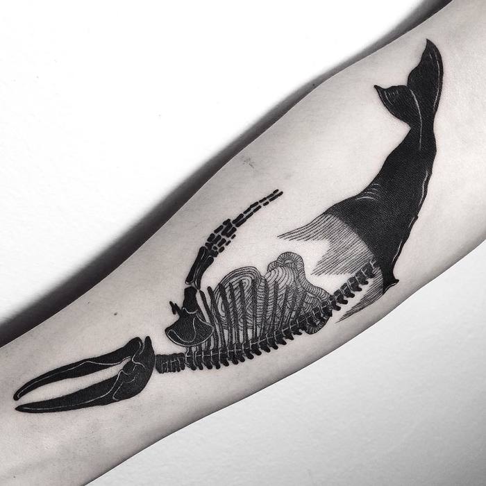 Whale Skeleton Tattoo by Zihee_tattoo