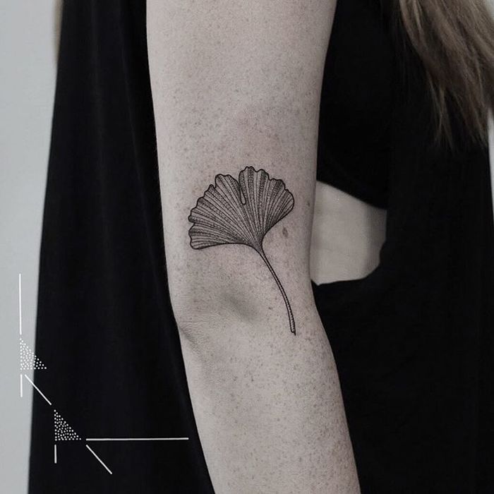 Blackwork Ginkgo Leaf Tattoo by rachainsworth