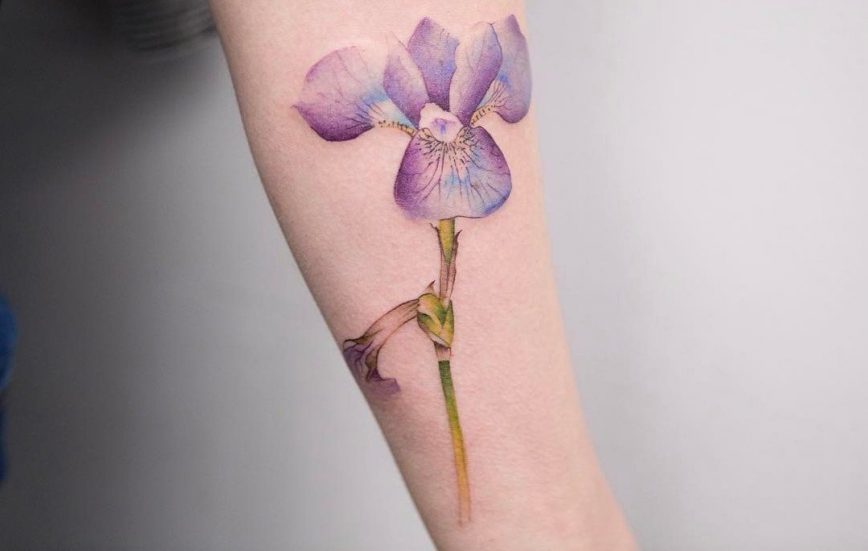 22 Grandiose Iris Tattoo Designs and Meanings