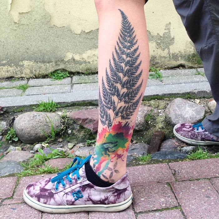 Fern Tattoo by shnioka