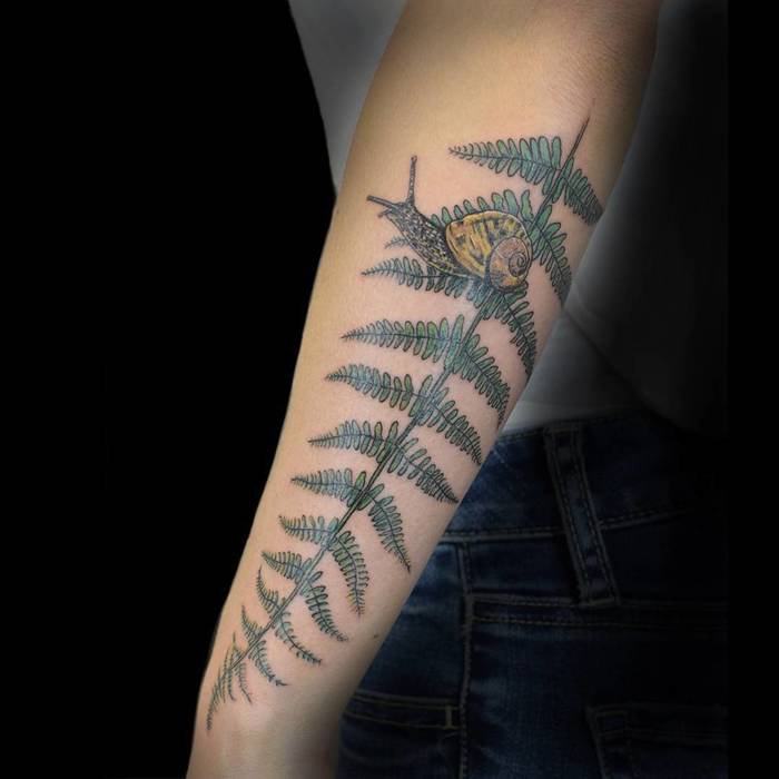 Fern Tattoo by calebknobel