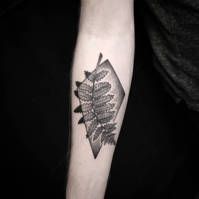 Fern Tattoo by snip_art