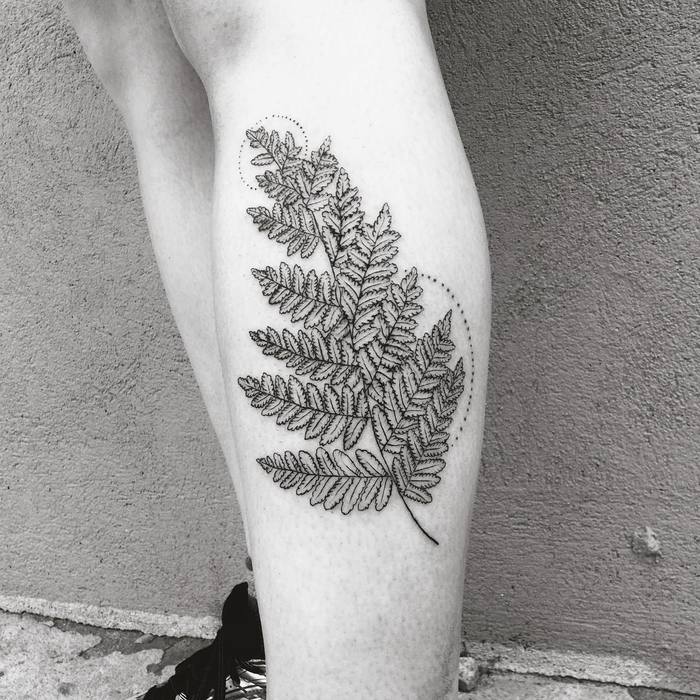 Fern Tattoo by lillesnegl