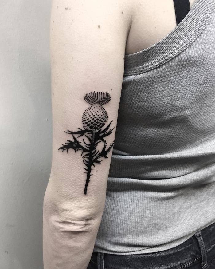 Black Ink Thistle Tattoo by klaudia_holda