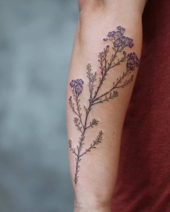 Waxflower Tattoo by Cindy van Schie